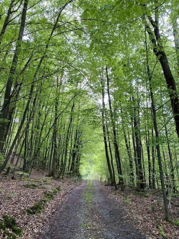 Ganze Ferienwohnung In Idyllischer Umgebung Werdohl エクステリア 写真